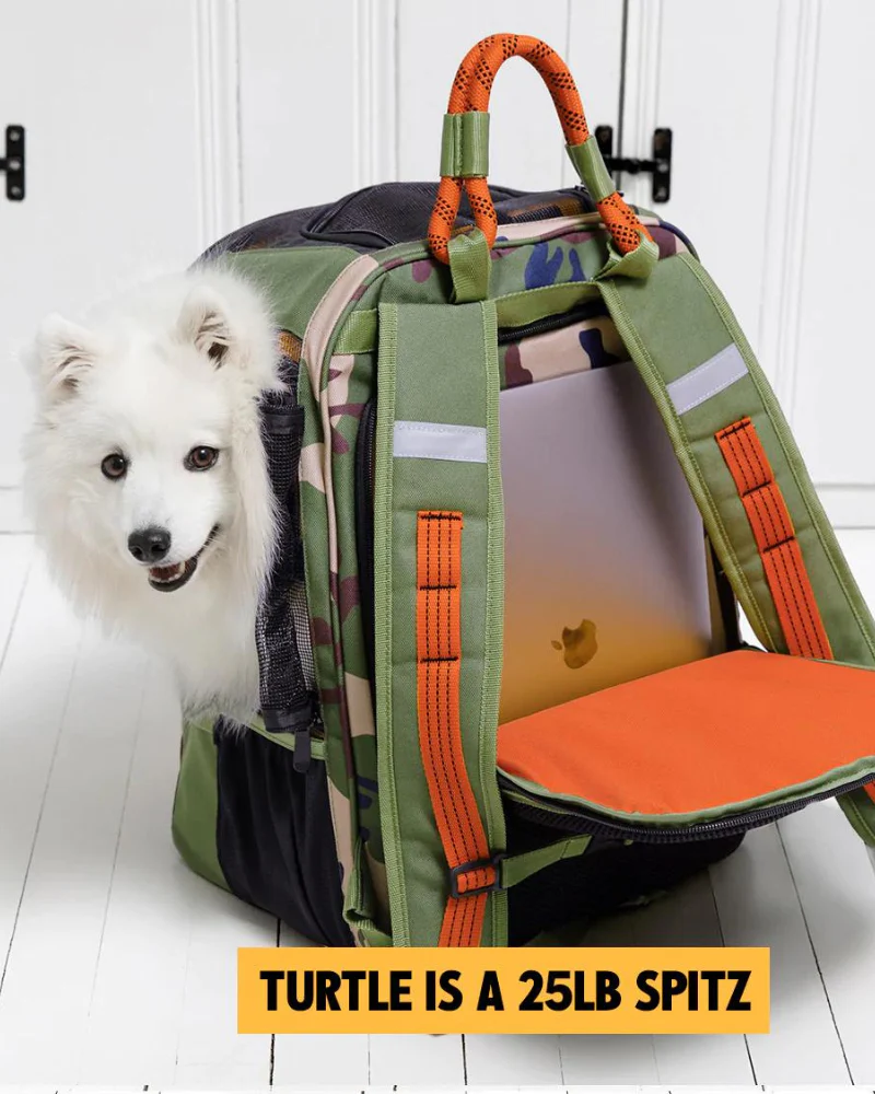 Ready-For-Adventure Pet Backpack (Airline Compliant) - Image 8