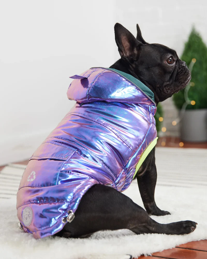 Recycled Arctic Dog Parka in Iridescent (FINAL SALE) - Image 4