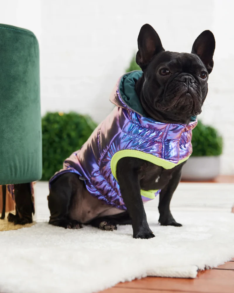 Recycled Arctic Dog Parka in Iridescent (FINAL SALE) - Image 5