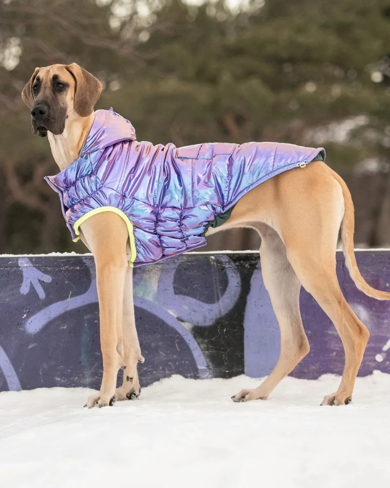 Recycled Arctic Dog Parka in Iridescent (FINAL SALE) - Image 6