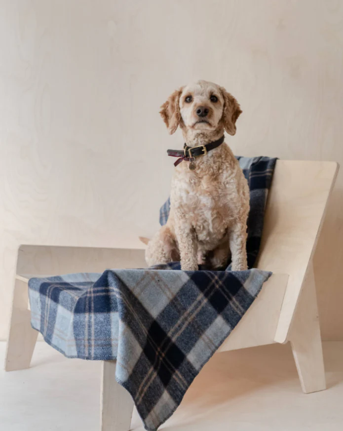 Recycled Wool Pet Blanket in Bannockbane Silver Tartan