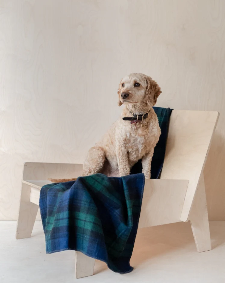 Recycled Wool Pet Blanket in Black Watch Tartan (FINAL SALE)