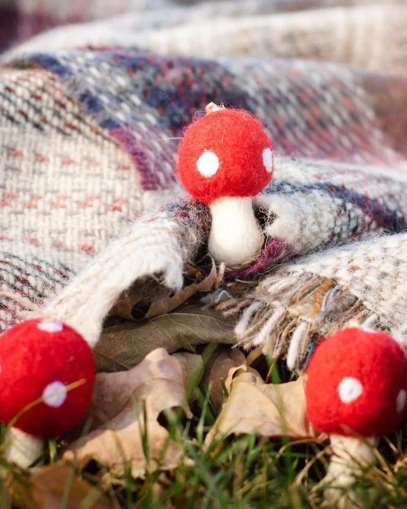 Red Amanita Mushroom Felt Toy for Dogs & Cats - Image 2
