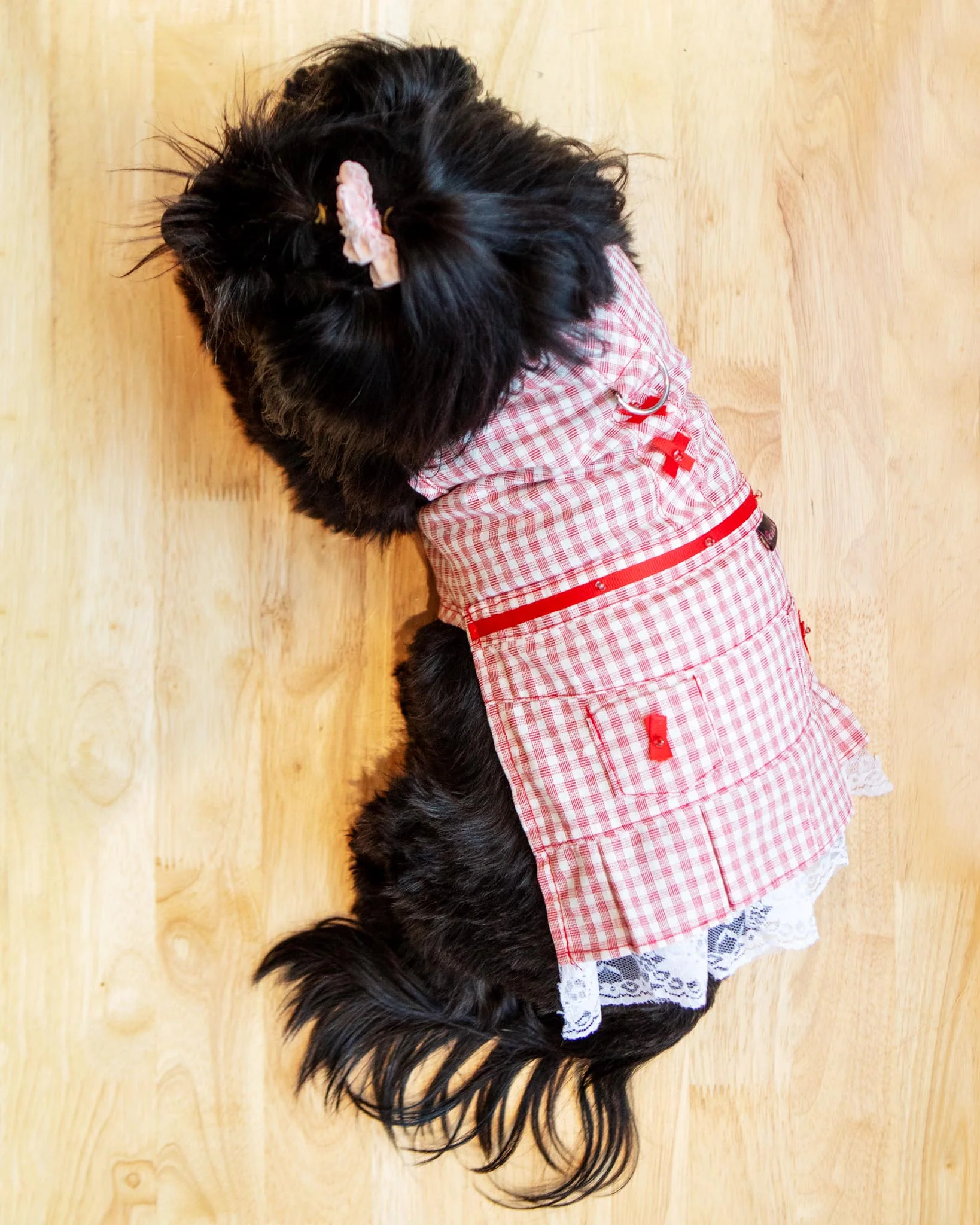 Red Check Picnic Dress for Dogs (FINAL SALE) - Image 4