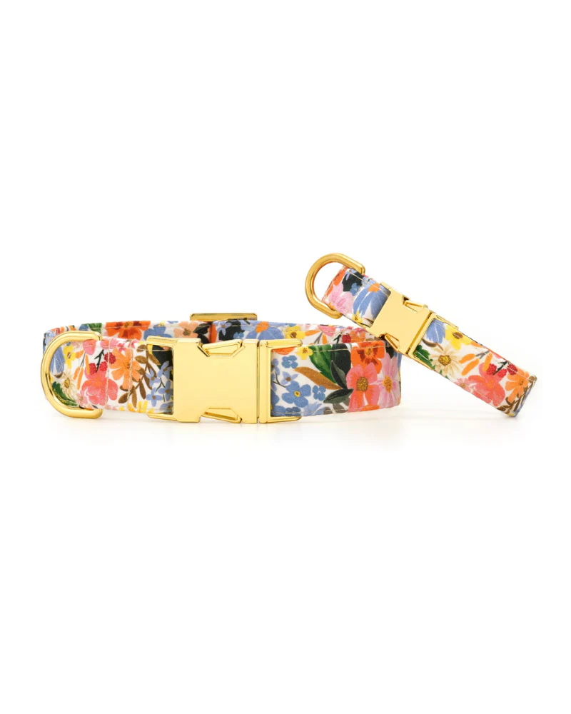 Marguerite Floral Dog Collar (FINAL SALE) - Image 4