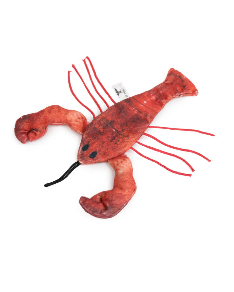 Red the Lobster Cat Toy << FINAL SALE >> - Image 3