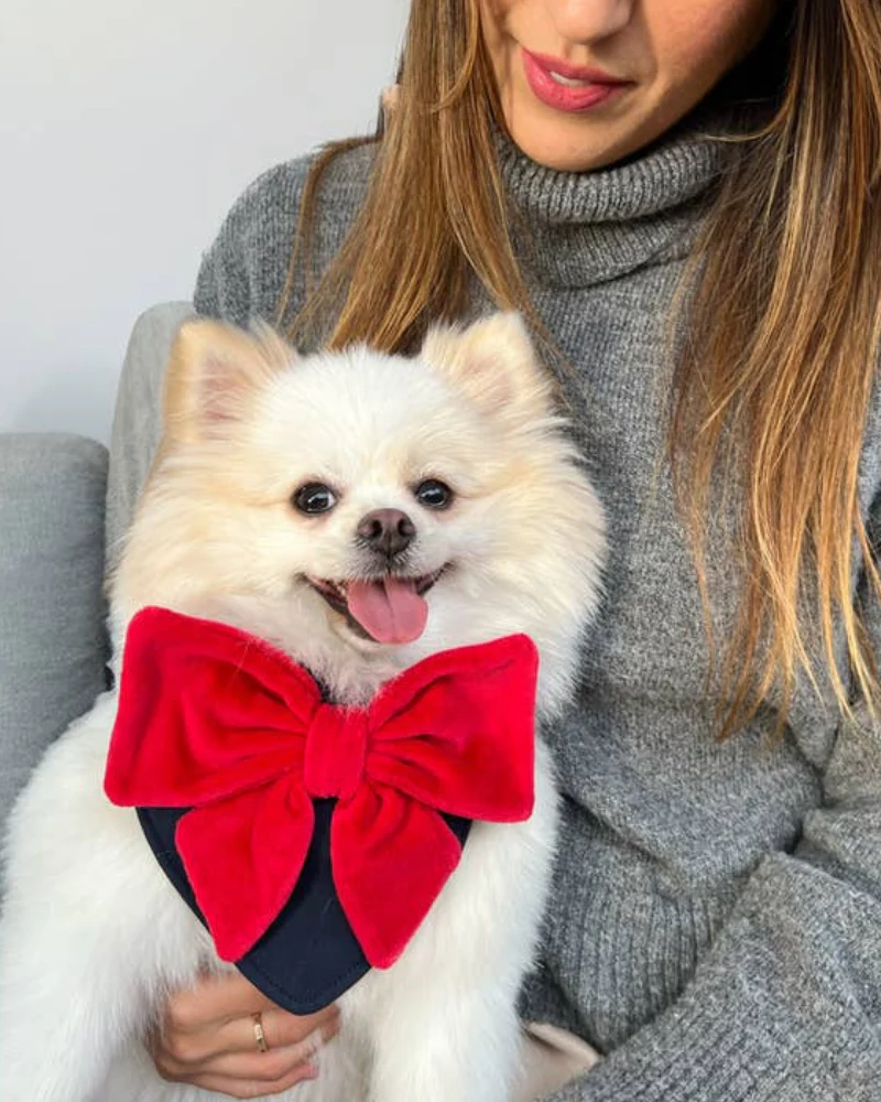 Red Velour Bow Dog Bandana - Image 3