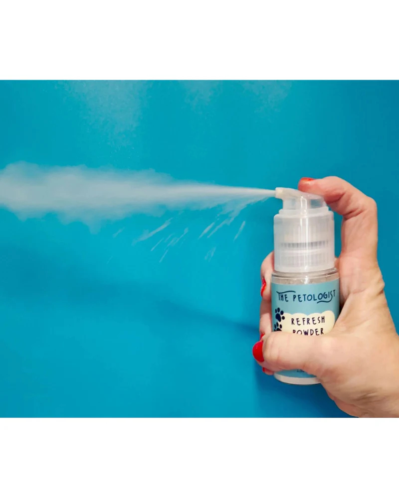Refresh Dry Shampoo Powder in Lavender or Unscented - Image 2