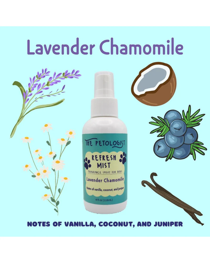 Refreshing Dog Mist in Lavender Chamomile - Image 2