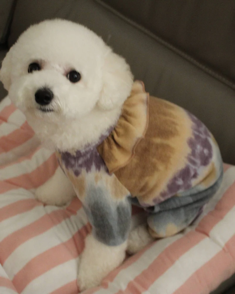 Tie-Dye Ruffle Dog Onesie (Made in the USA) << FINAL SALE >> - Image 5