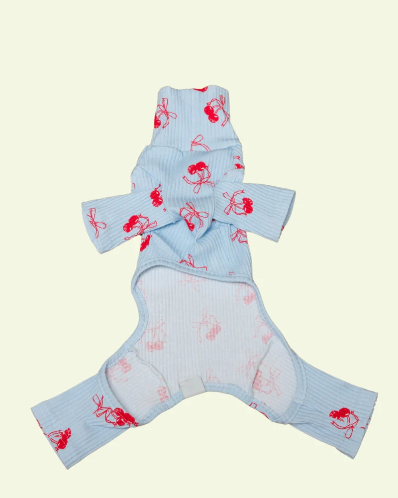 Rest Assured Dog Onesie (FINAL SALE) - Image 3
