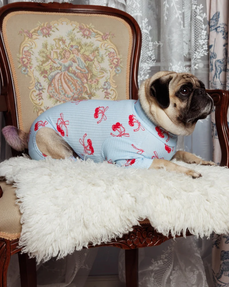 Rest Assured Dog Onesie (FINAL SALE) - Image 4