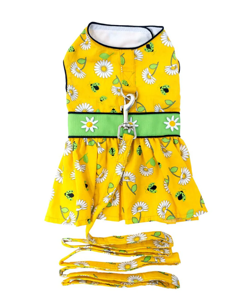 Retro Daisies Ladybug Dress for Dogs - Image 3