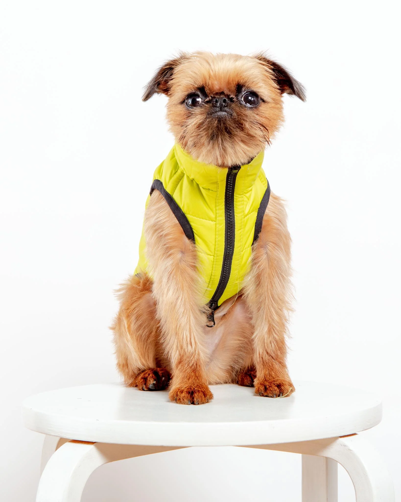 Reversible AiryVest in Hunter Plaid + Neon Yellow (DOG & CO. Exclusive) (FINAL SALE) - Image 2