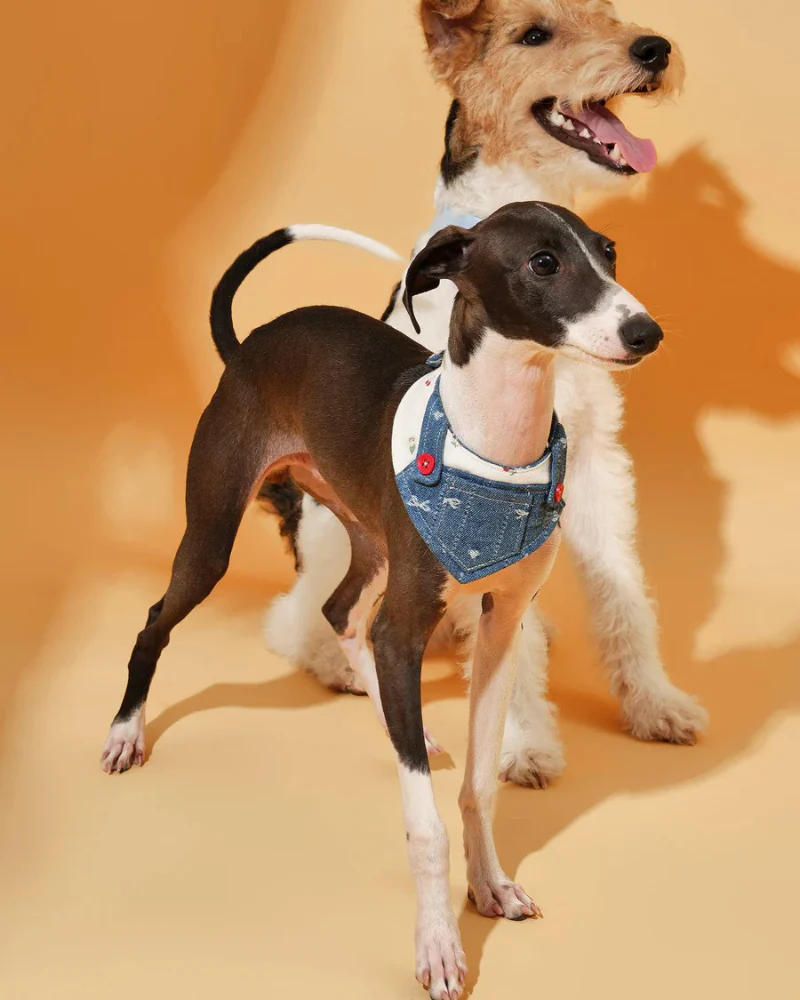 Reversible Denim Overalls Dog Bandana (FINAL SALE) - Image 5