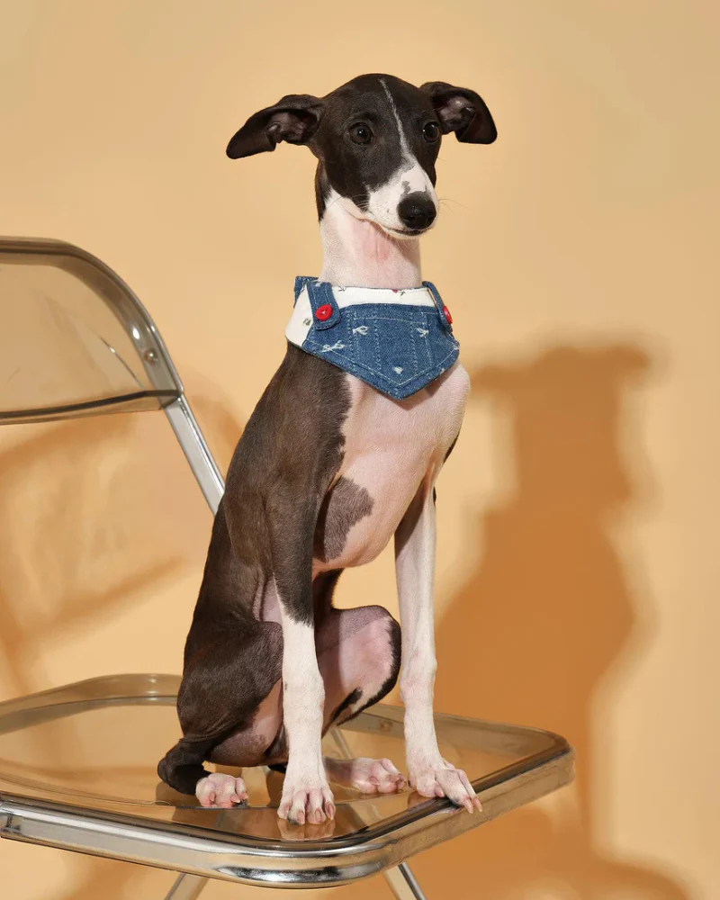 Reversible Denim Overalls Dog Bandana (FINAL SALE) - Image 6