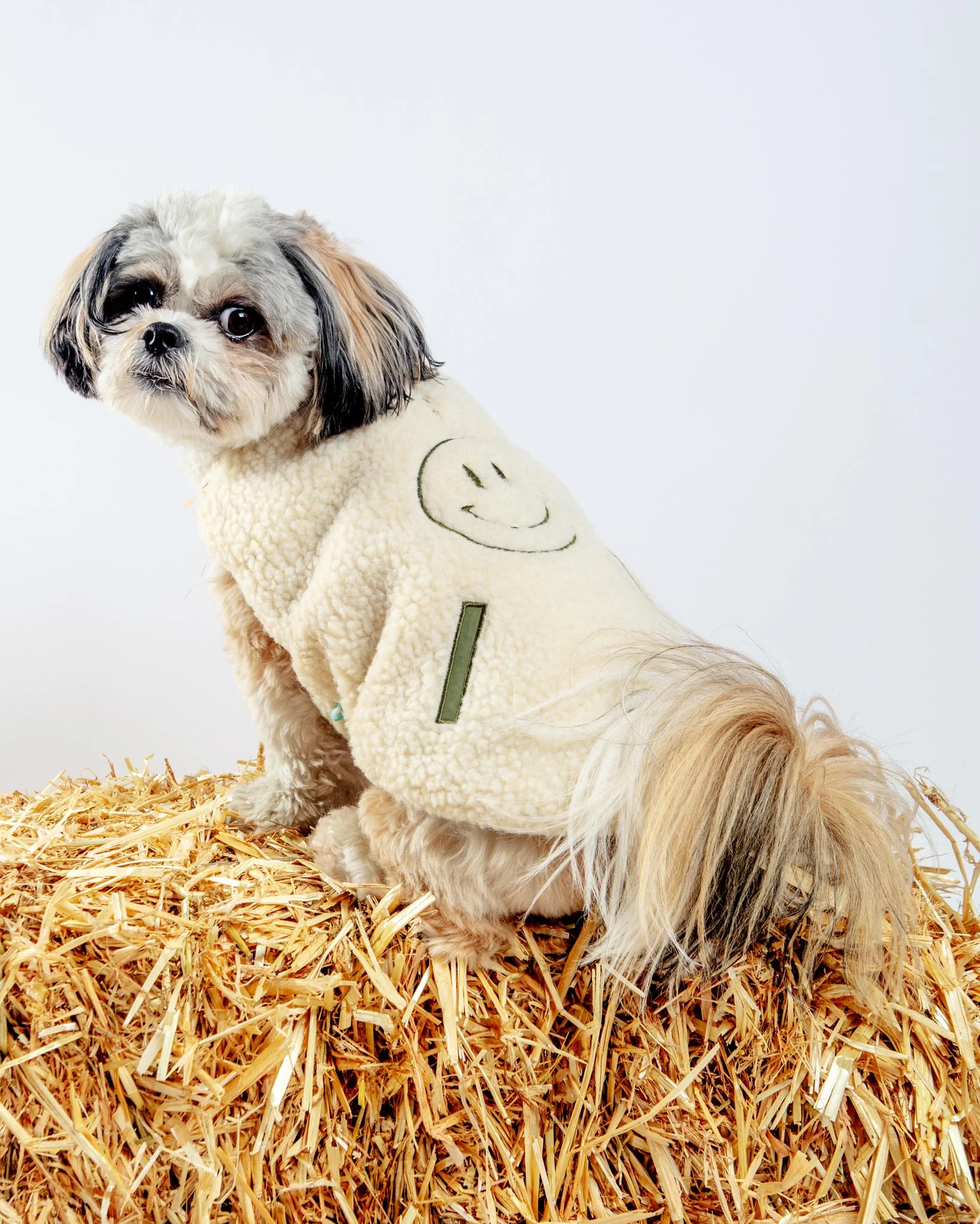 Reversible Nara Jacket for Dogs