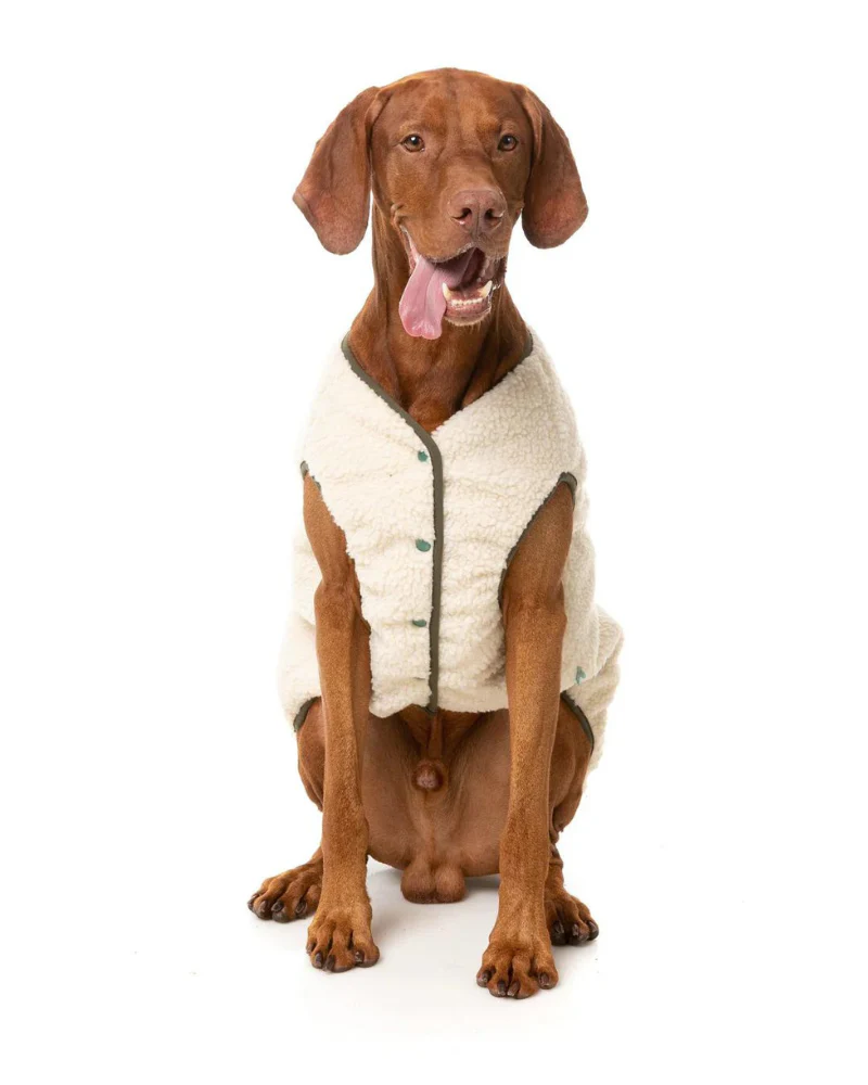 Reversible Nara Jacket for Dogs - Image 7