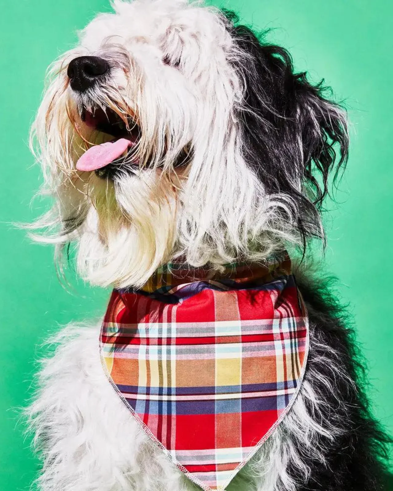 Reversible Plaid Dog Bandana (Made in the USA) (FINAL SALE)