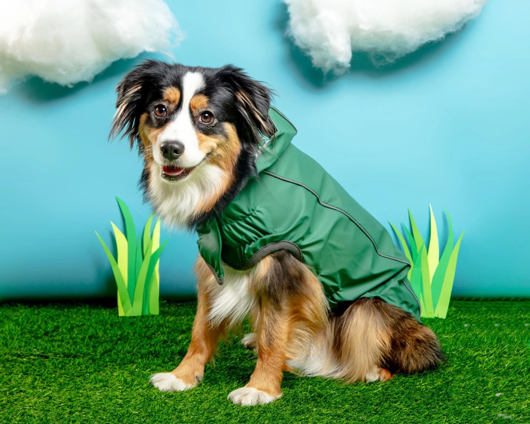 Reversible Waterproof Dog Raincoat in Green - Image 11