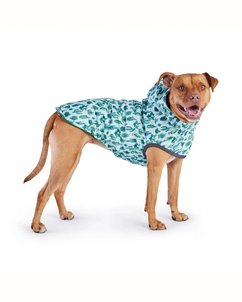 Reversible Waterproof Dog Raincoat in Green - Image 4