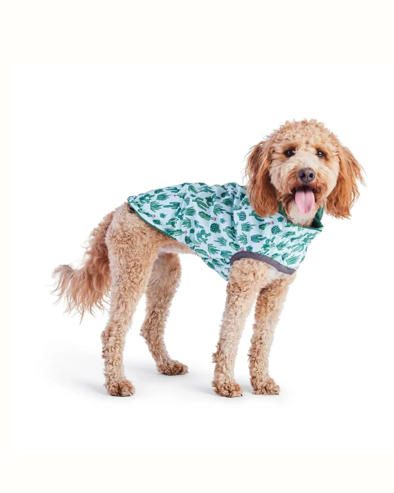 Reversible Waterproof Dog Raincoat in Green - Image 6