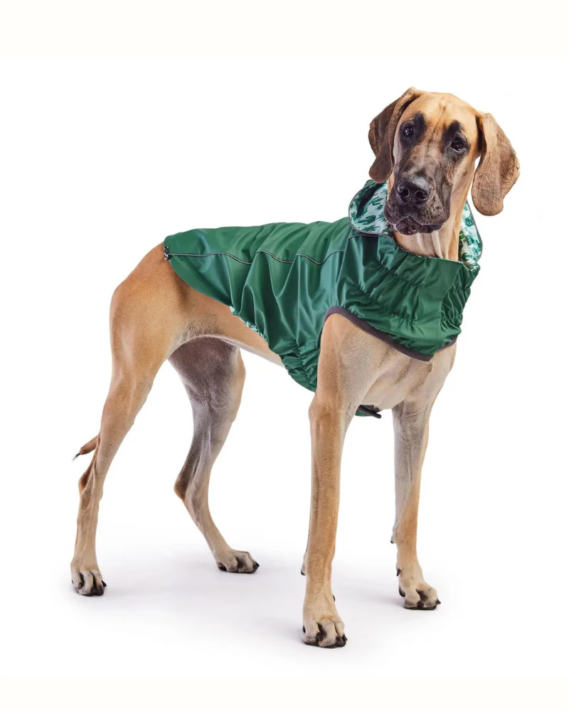 Reversible Waterproof Dog Raincoat in Green - Image 7