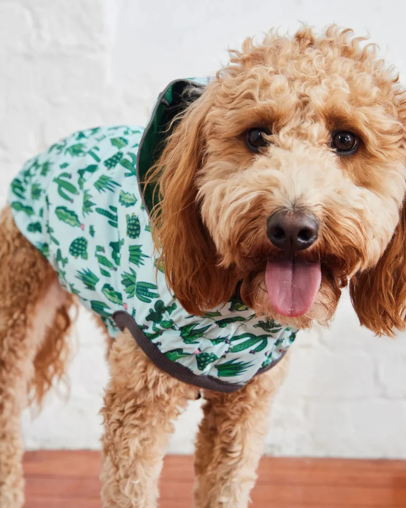 Reversible Waterproof Dog Raincoat in Green - Image 8