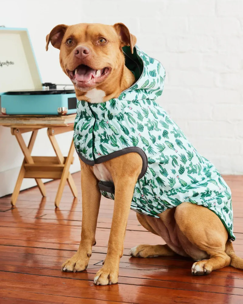 Reversible Waterproof Dog Raincoat in Green - Image 9