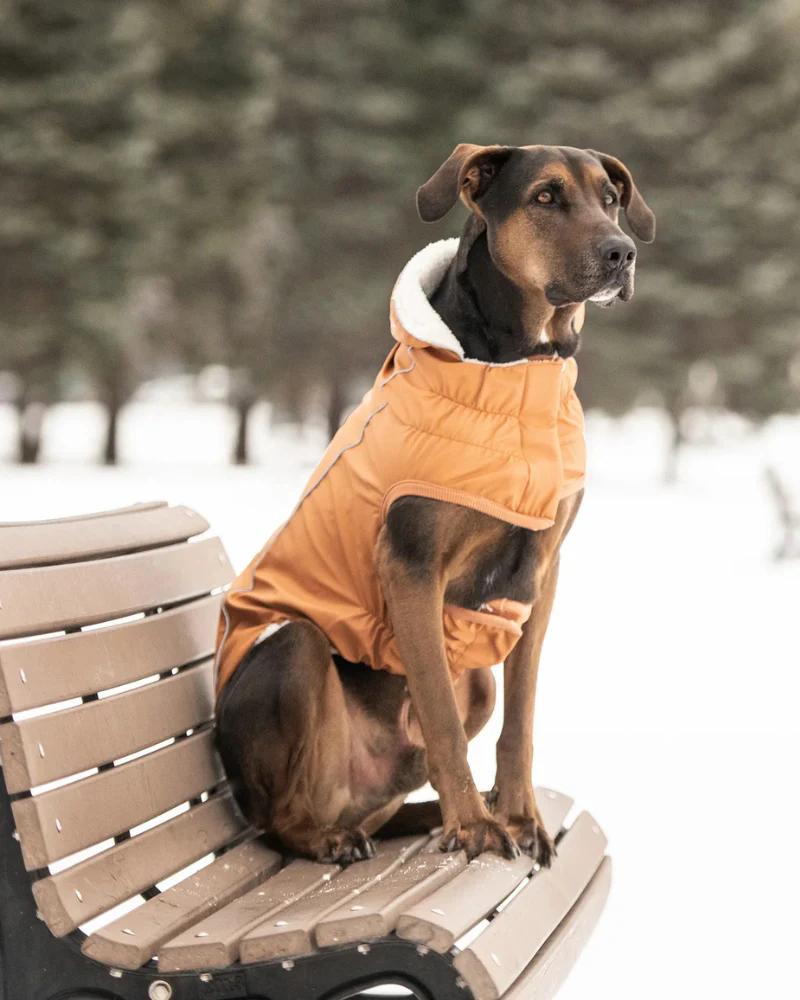 Insulated Raincoat in Hazel (FINAL SALE)