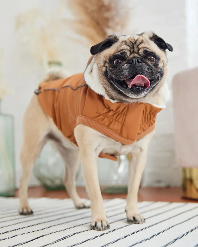 Insulated Raincoat in Hazel (FINAL SALE) - Image 4