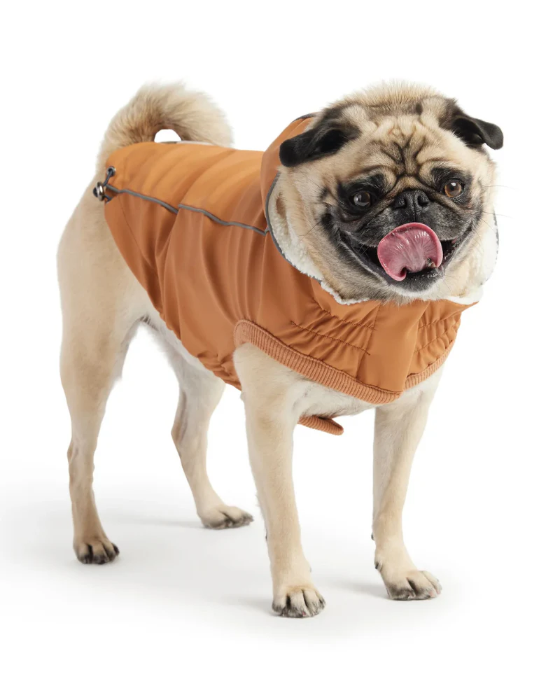 Insulated Raincoat in Hazel (FINAL SALE) - Image 5
