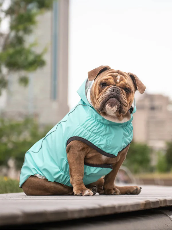 Reversible Waterproof Dog Raincoat in Iridescent + Turquoise - Image 3