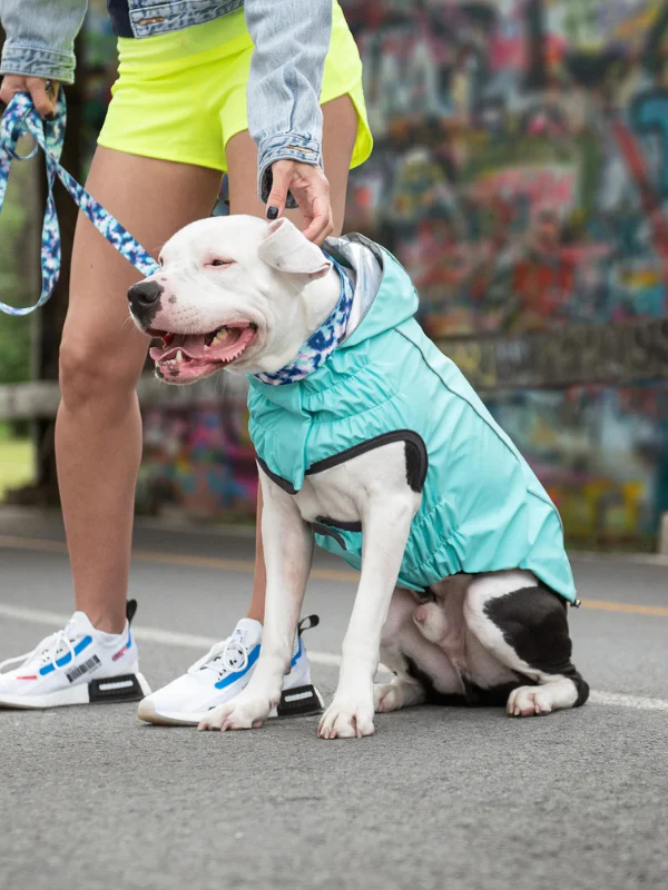 Reversible Waterproof Dog Raincoat in Iridescent + Turquoise - Image 4