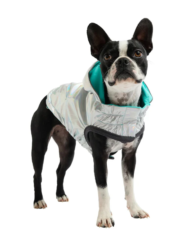 Reversible Waterproof Dog Raincoat in Iridescent + Turquoise - Image 6