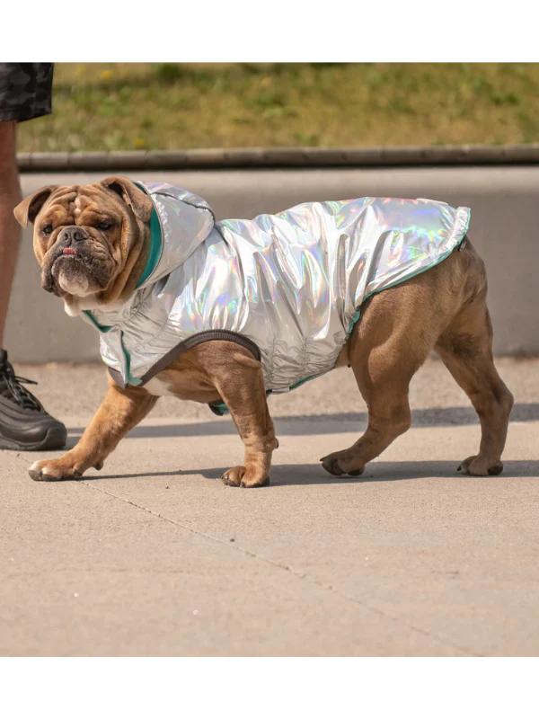 Reversible Waterproof Dog Raincoat in Iridescent + Turquoise - Image 7