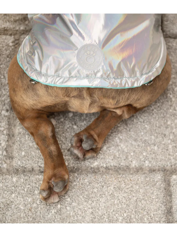 Reversible Waterproof Dog Raincoat in Iridescent + Turquoise - Image 8