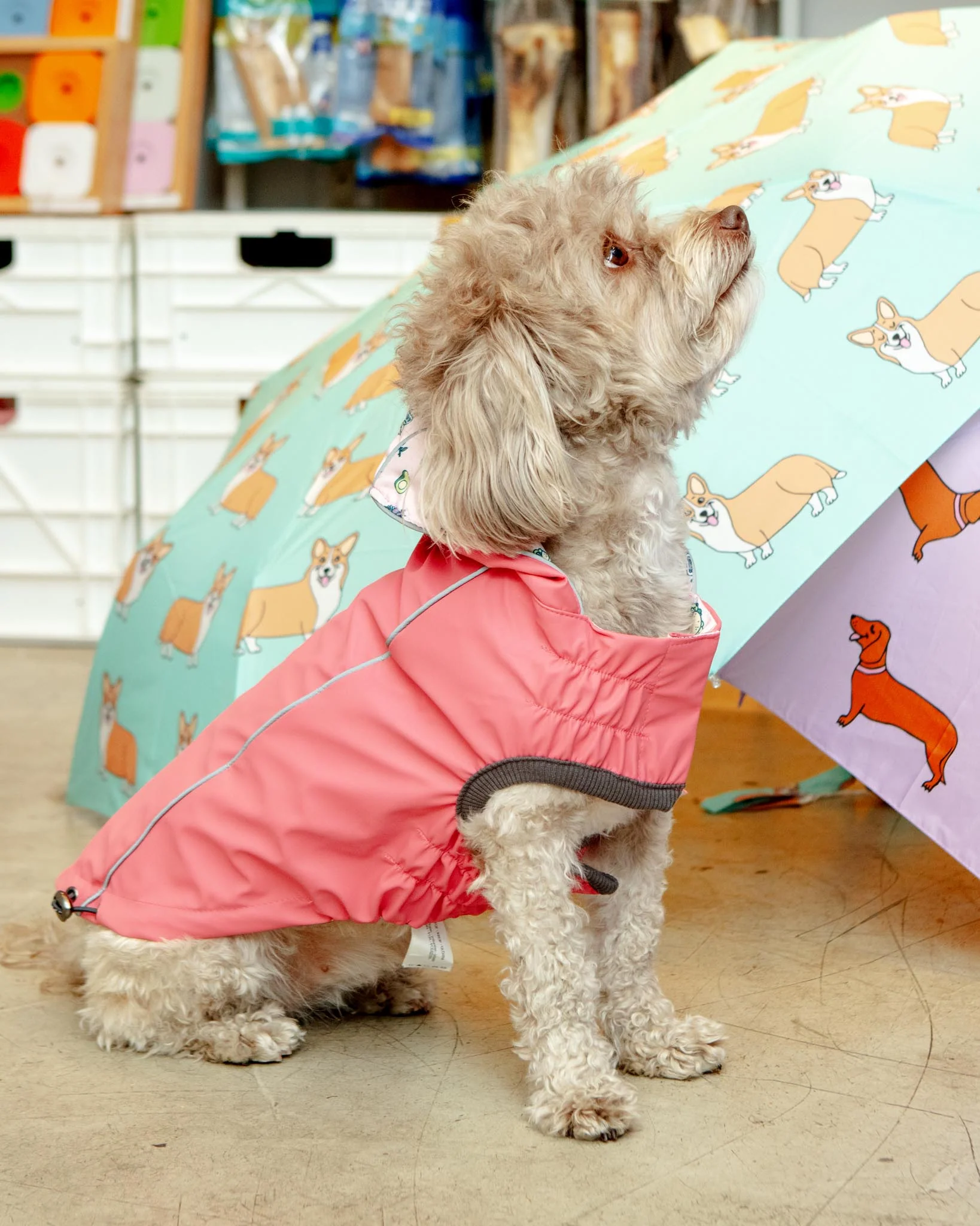 Reversible Waterproof Dog Raincoat in Pink (FINAL SALE) - Image 4