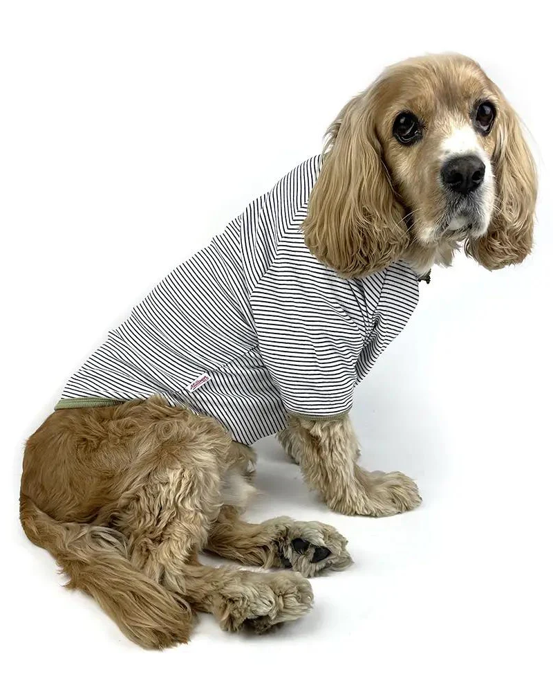 Rib Dog T-Shirt in White & Sage Stripe (CLEARANCE) - Image 2