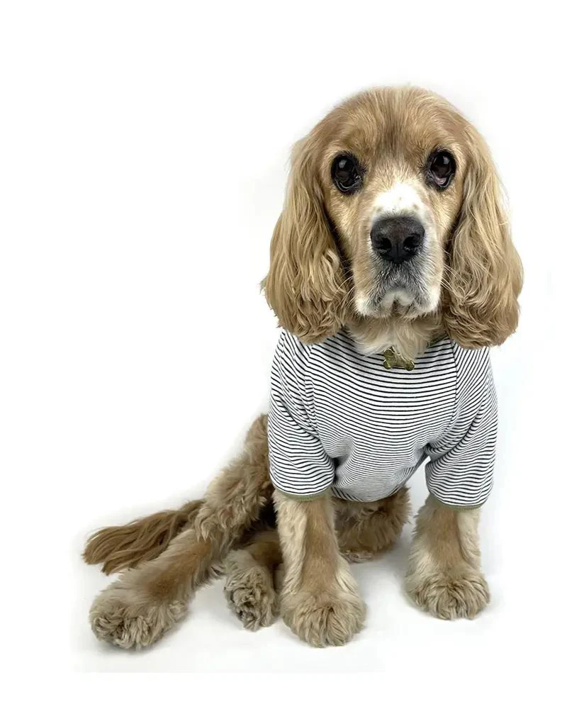 Rib Dog T-Shirt in White & Sage Stripe (CLEARANCE) - Image 5