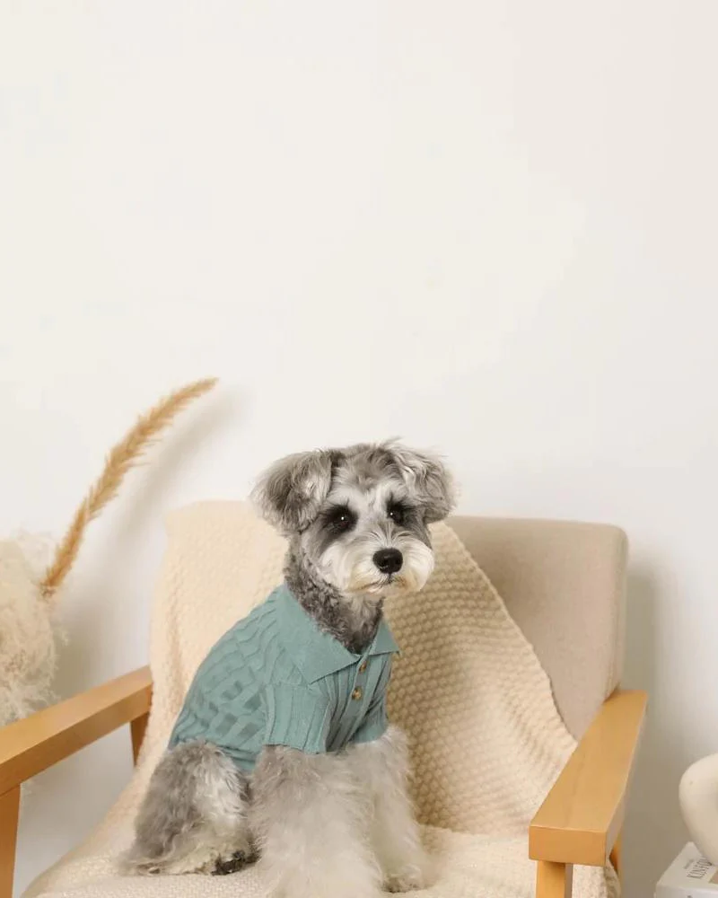 Rib Knit Dog Polo - Image 3