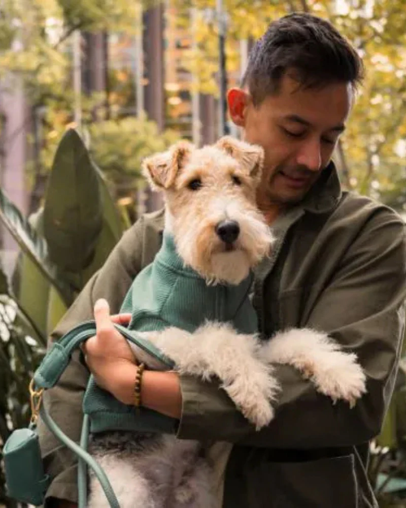Ribbed Knit Dog Pullover in Myrtle Green (FINAL SALE) - Image 3