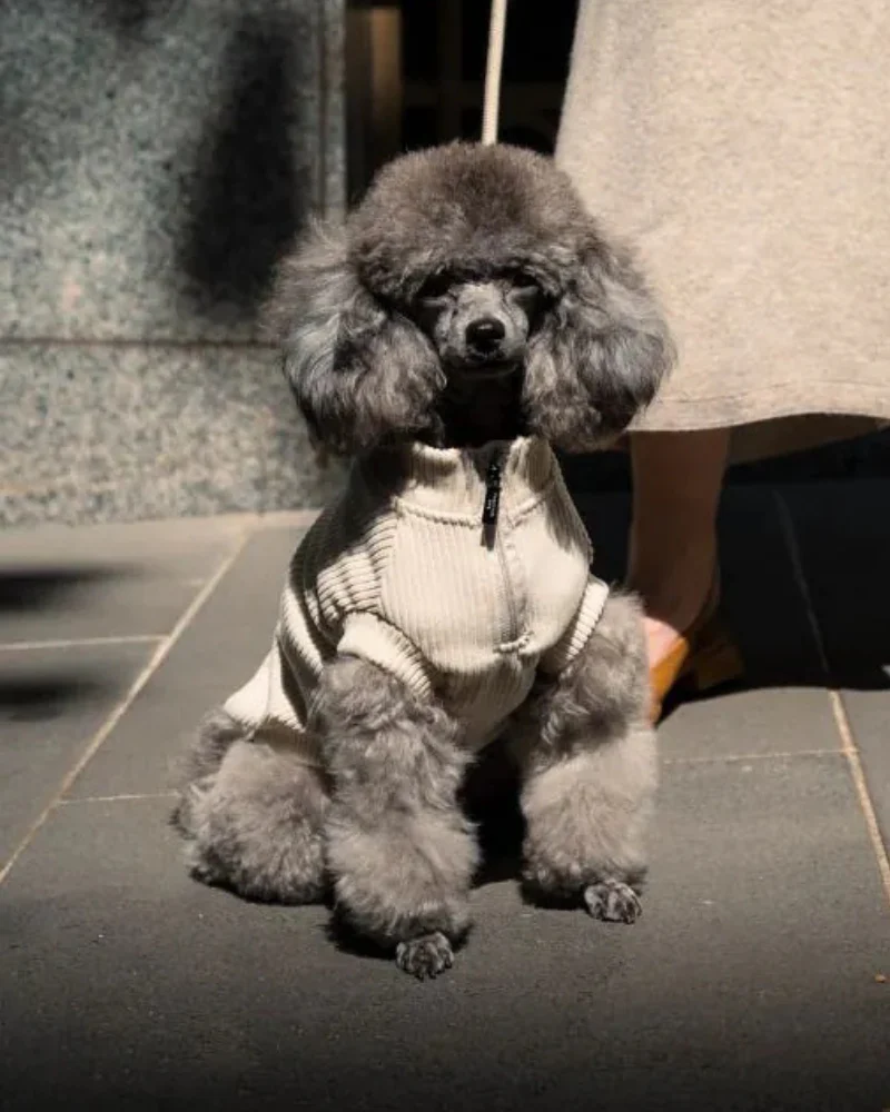 Ribbed Knit Dog Pullover in Sandstone - Image 2
