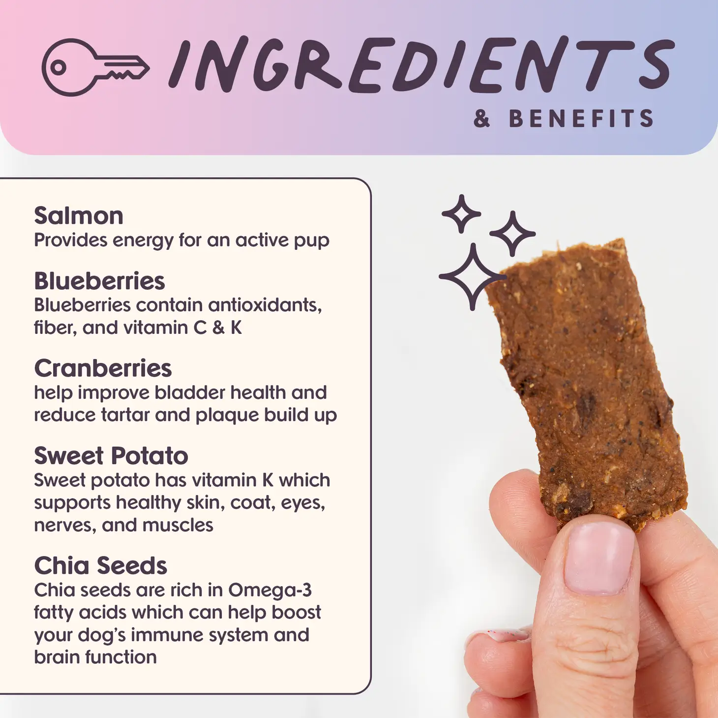 Ride & Vibe Salmon Superfood Jerky Dog Treats (Made in the USA) - Image 3