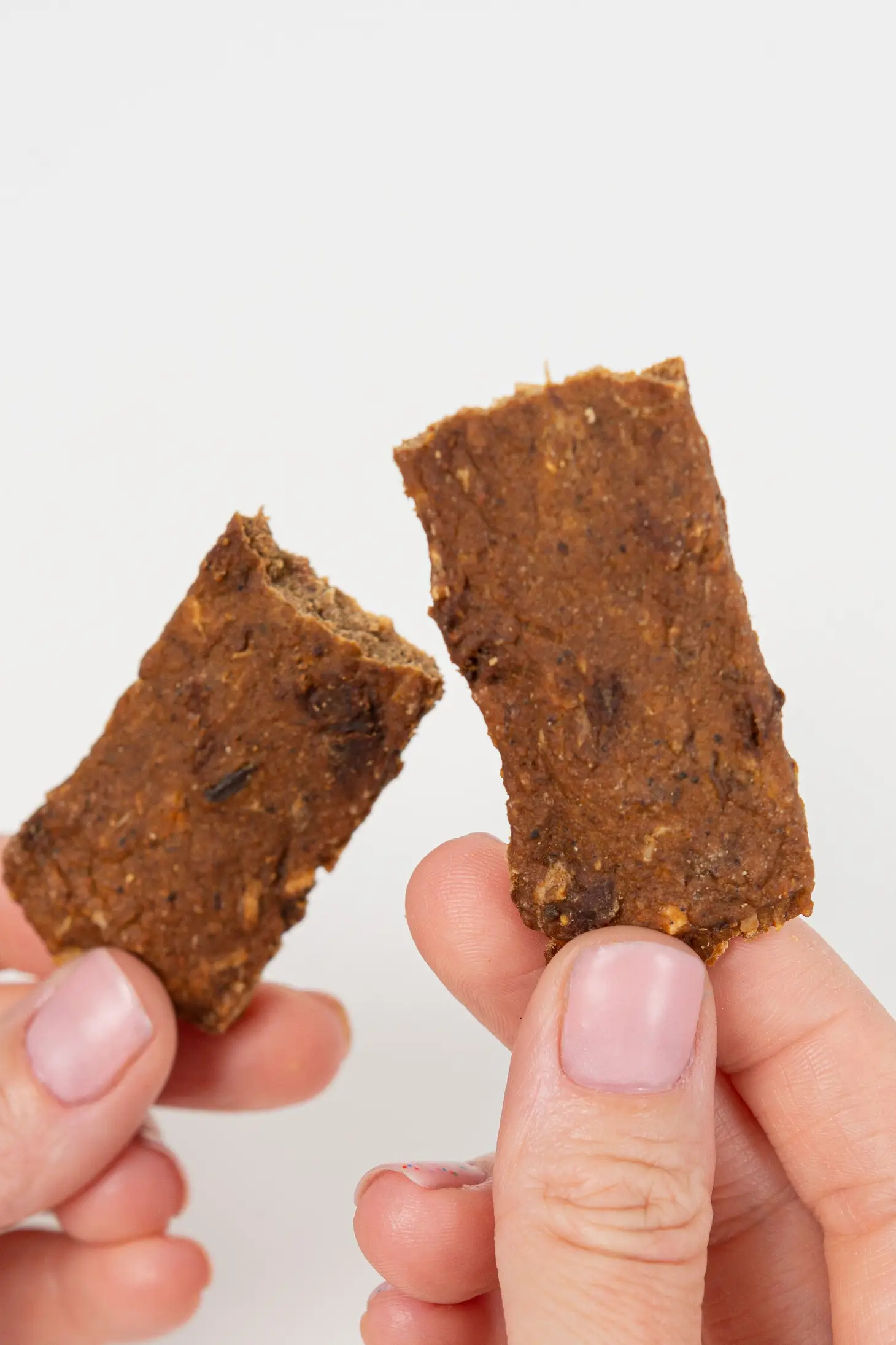 Ride & Vibe Salmon Superfood Jerky Dog Treats (Made in the USA) - Image 4