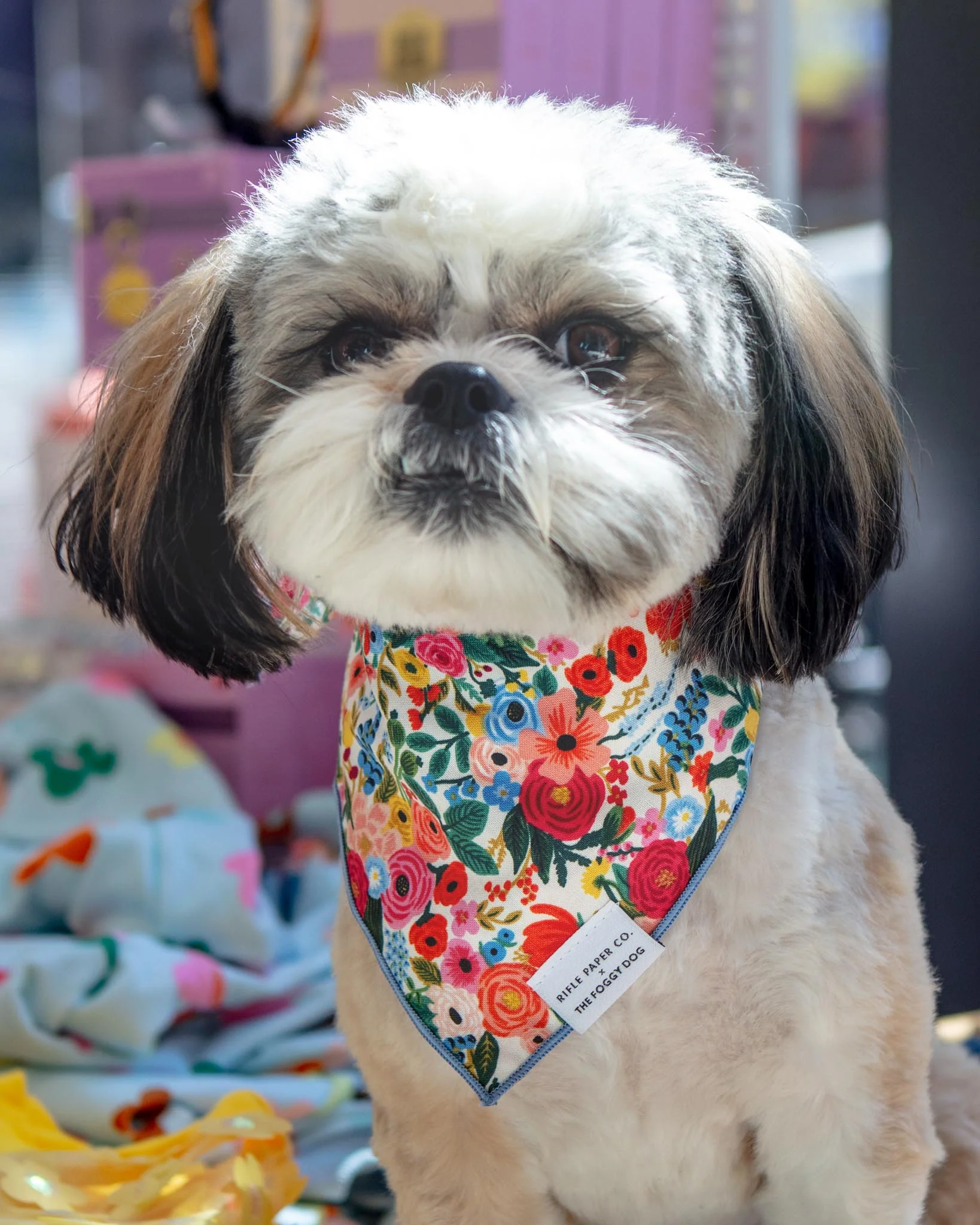 Rifle Paper Co. X Tfd Garden Party Dog Bandana (Made in the USA) (FINAL SALE)