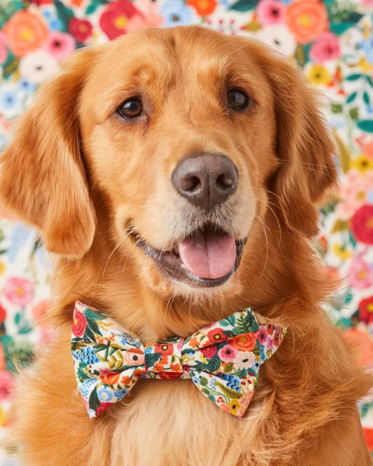 Rifle Paper Co. x TFD Garden Party Dog Bow Tie (Made in the USA) (FINAL SALE)
