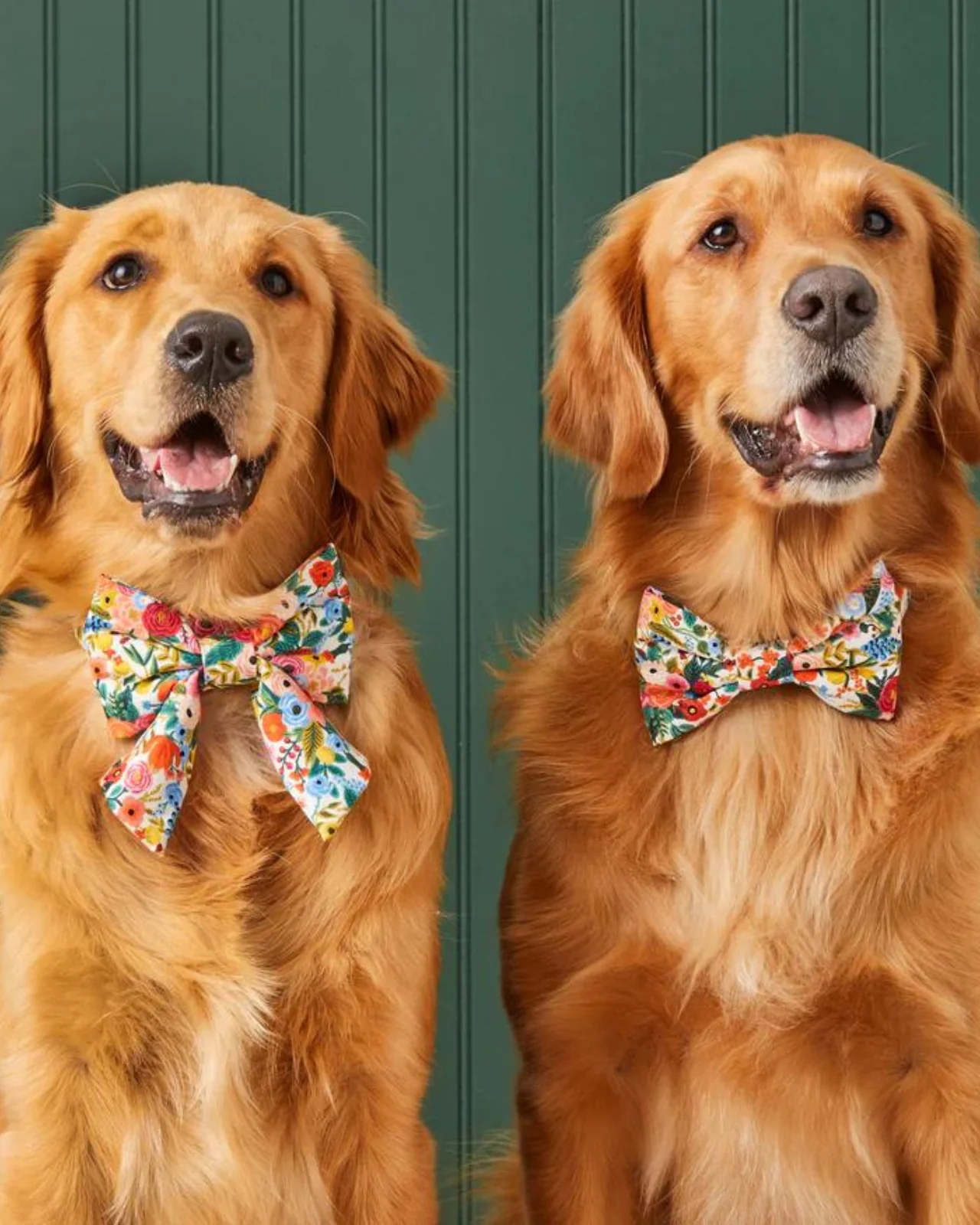 Rifle Paper Co. x TFD Garden Party Dog Bow Tie (Made in the USA) (FINAL SALE) - Image 4