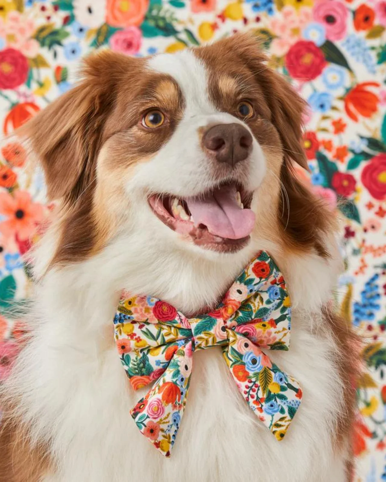 Rifle Paper Co. x TFD Garden Party Spring Lady Dog Bow (Made in the USA) - Image 3