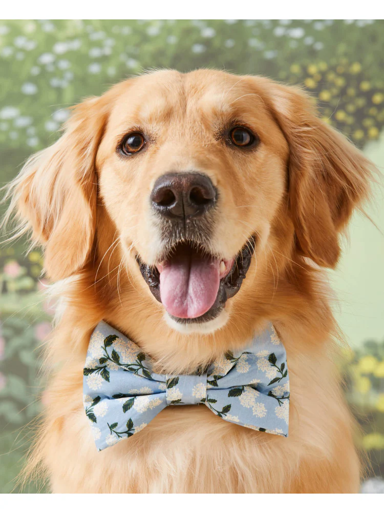 Rifle Paper Co. X TFD Hydrangea Dog Bow Tie (Made in the USA)